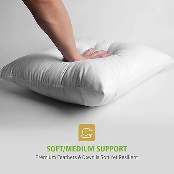 TOPGREEN Goose Feather Throw Pillow Inserts 2 Pack | 18 x18 Square Deco Pillow for Bed, Sofa, and... | Amazon (US)