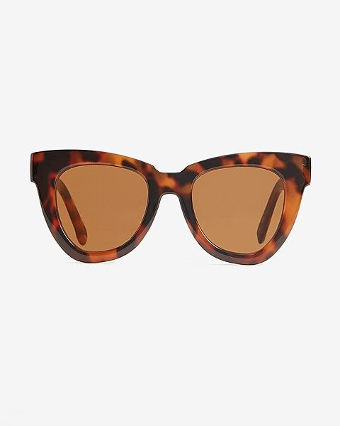 Thick D Frame Sunglasses | Express