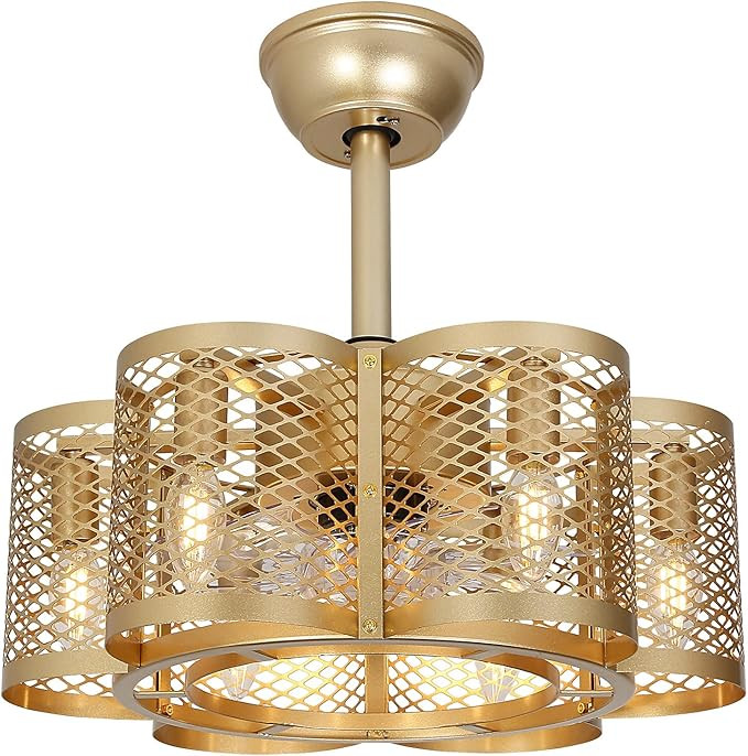 SMLERAY Caged Ceiling Fan with Light and Remote Control,6 Speed Bladeless Ceiling Fans with Rever... | Amazon (US)