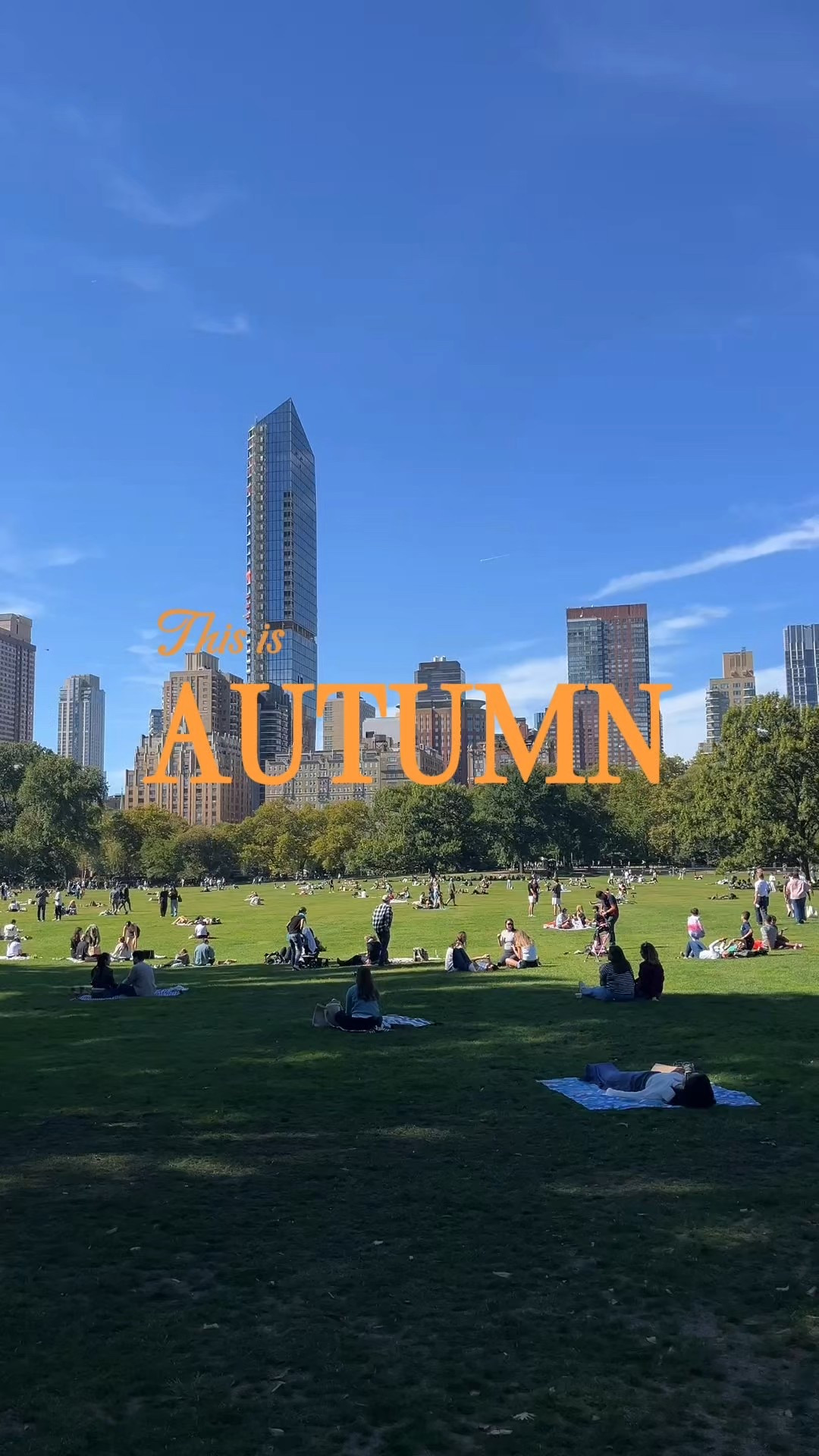 NYC Autumn - October is the perfect time for a trip and Halloween fun 🎃 Get some city merch for the cozy season 

#LTKTravel #LTKSeasonal