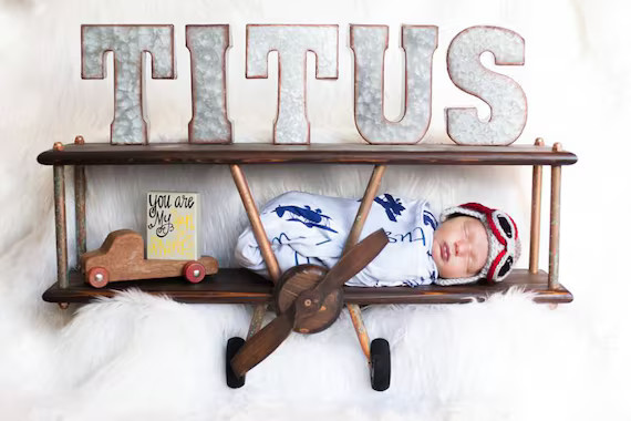 LARGE Dark Stained Copper Airplane Shelf Custom Airplane | Etsy | Etsy (US)