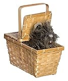 Amazon.com: Rubie's Wizard of Oz Dorothy's Toto In A Basket Costume Accessory : Toys & Games | Amazon (US)