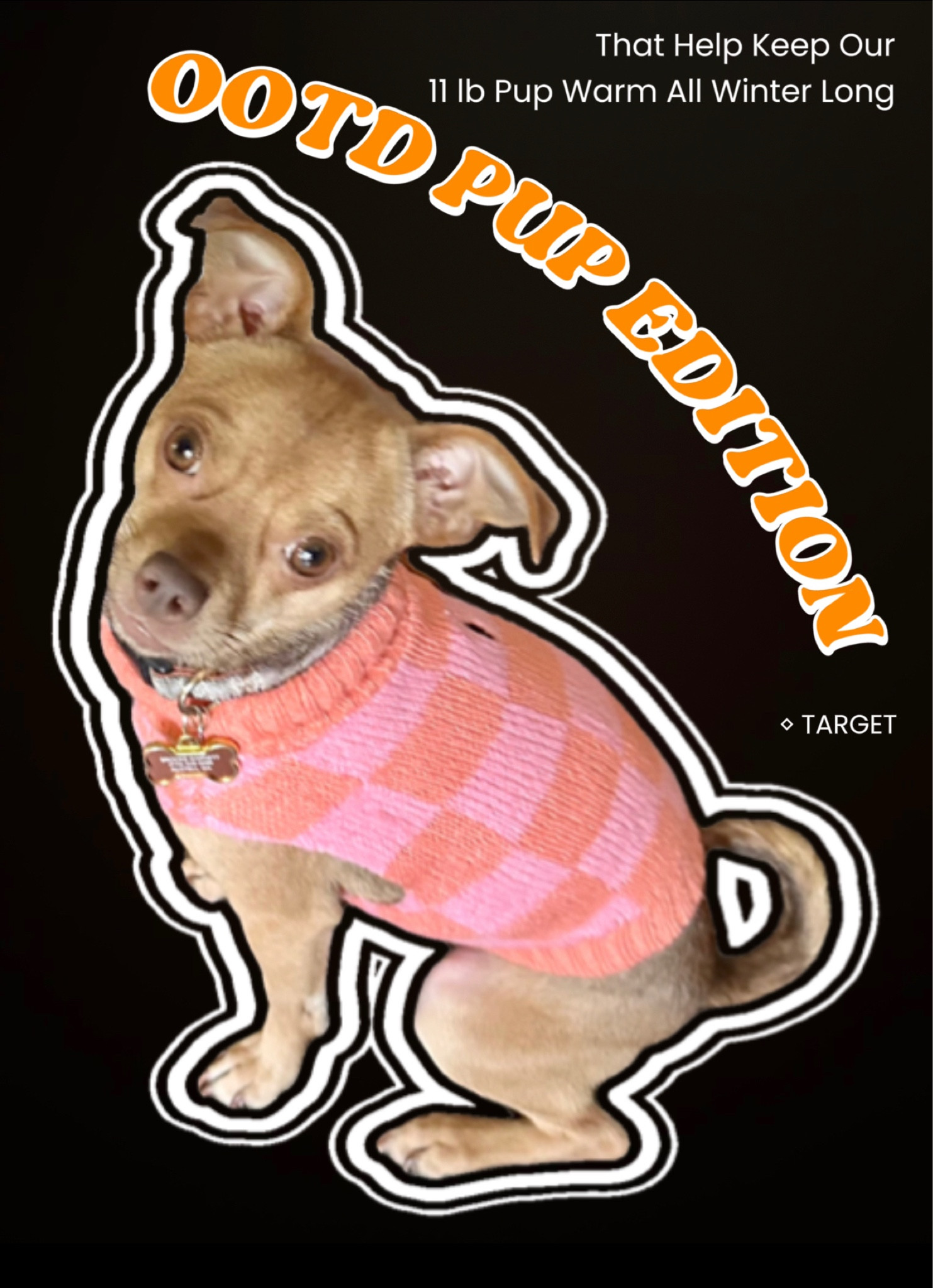 Favorite sweaters & coats that help keep our 11 lb Chihuahua warm 

#LTKSeasonal #LTKfindsunder50 #LTKfamily
