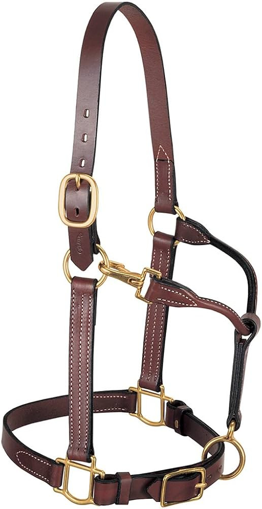 Weaver Leather 3-in-1 All Purpose Halter | Amazon (US)
