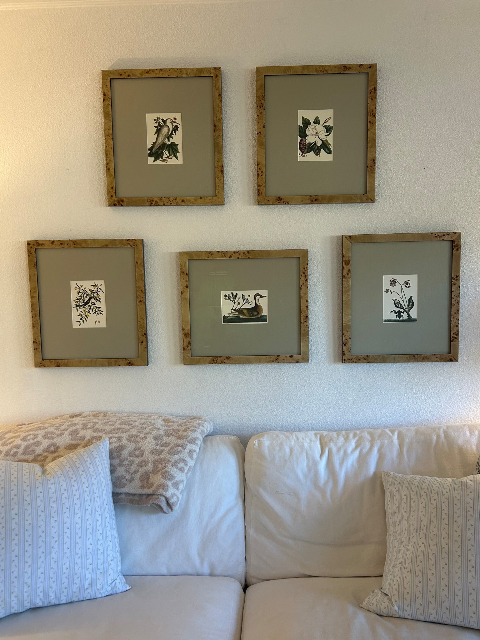burlwood botanical frames

#LTKStyleTip #LTKHome #LTKU