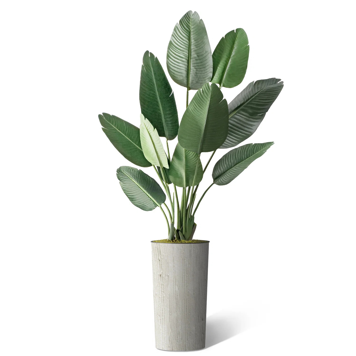Artificial Tree In Planter, Fake Bird of Paradise Silk Tree Home Decoration (Plant Pot Plus Tree) | Wayfair North America