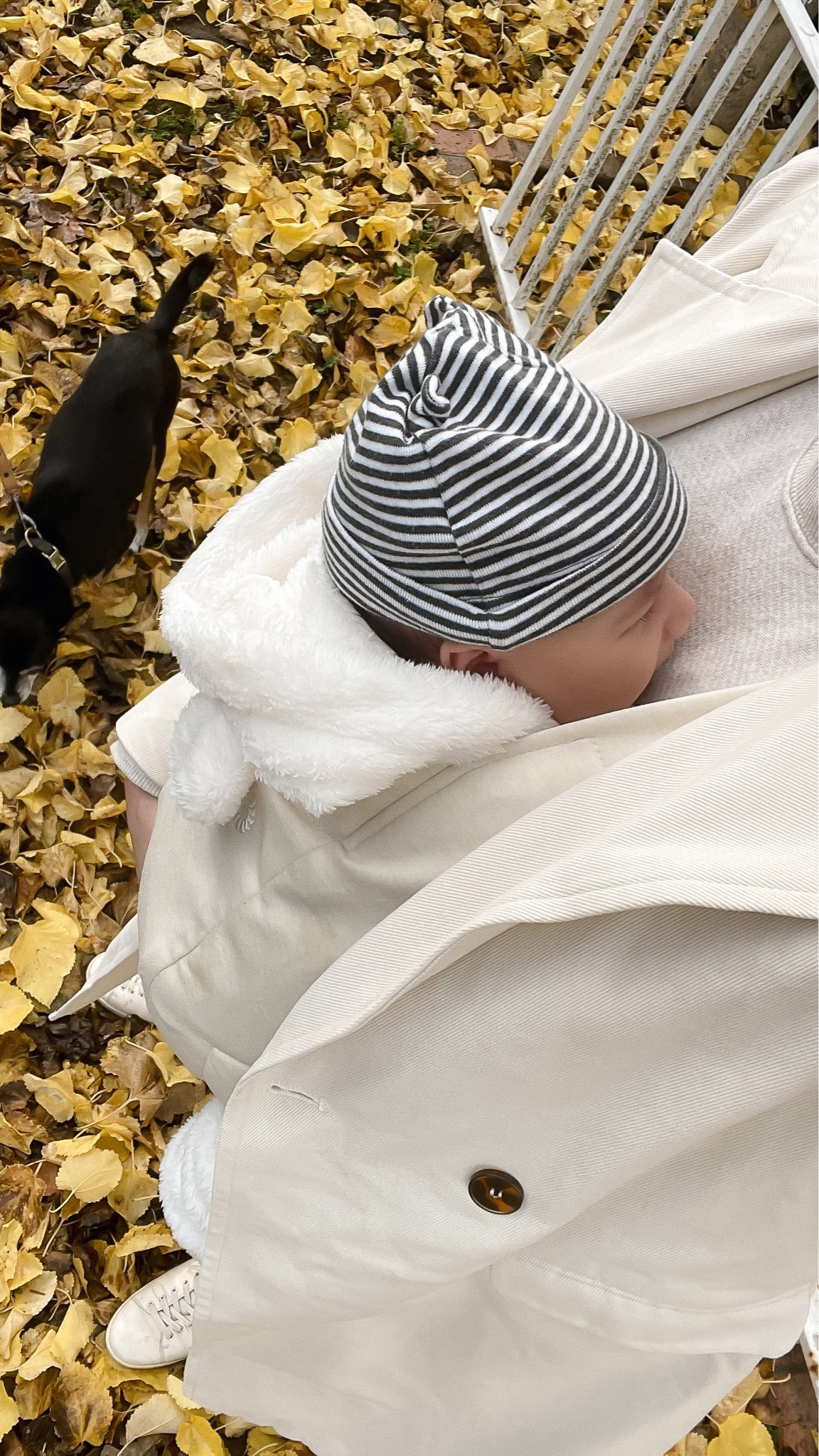 Baby wearing walk 🫶🏼 wearing Jenni Kayne lounge set (save with TYLER15) and One/Third Trench coat with Sézane sneakers. 

Also shared our baby carrier 🫶🏼

#LTKSeasonal #LTKbaby #LTKfamily