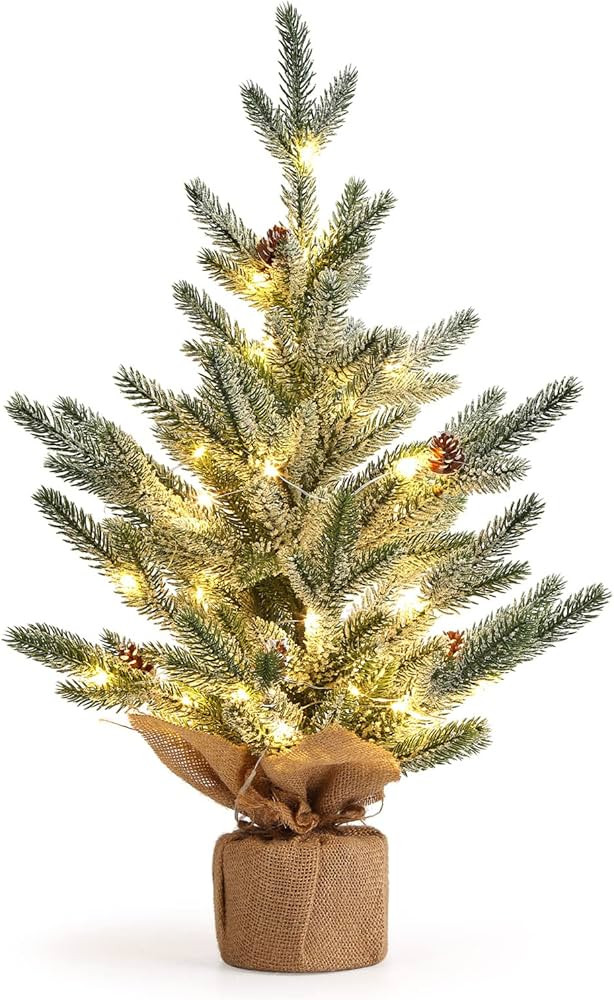 LinTimes 24 Inch Table Top Small Christmas Tree with 50 LED Lights, Prelit Mini Christmas Tree Fr... | Amazon (US)