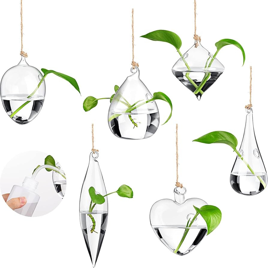 Zopeal 6 Pieces Wall Hanging Glass Flower Planter Terrarium Clear Plant Glass Wall Vase Container... | Amazon (US)