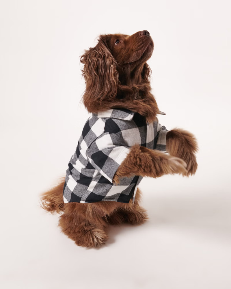 A&F Pet Flannel | Abercrombie & Fitch (US)