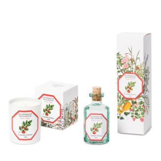 Carriere Freres Tomato Home Fragrance Collection  | Bloomingdale's Home | Bloomingdale's (US)