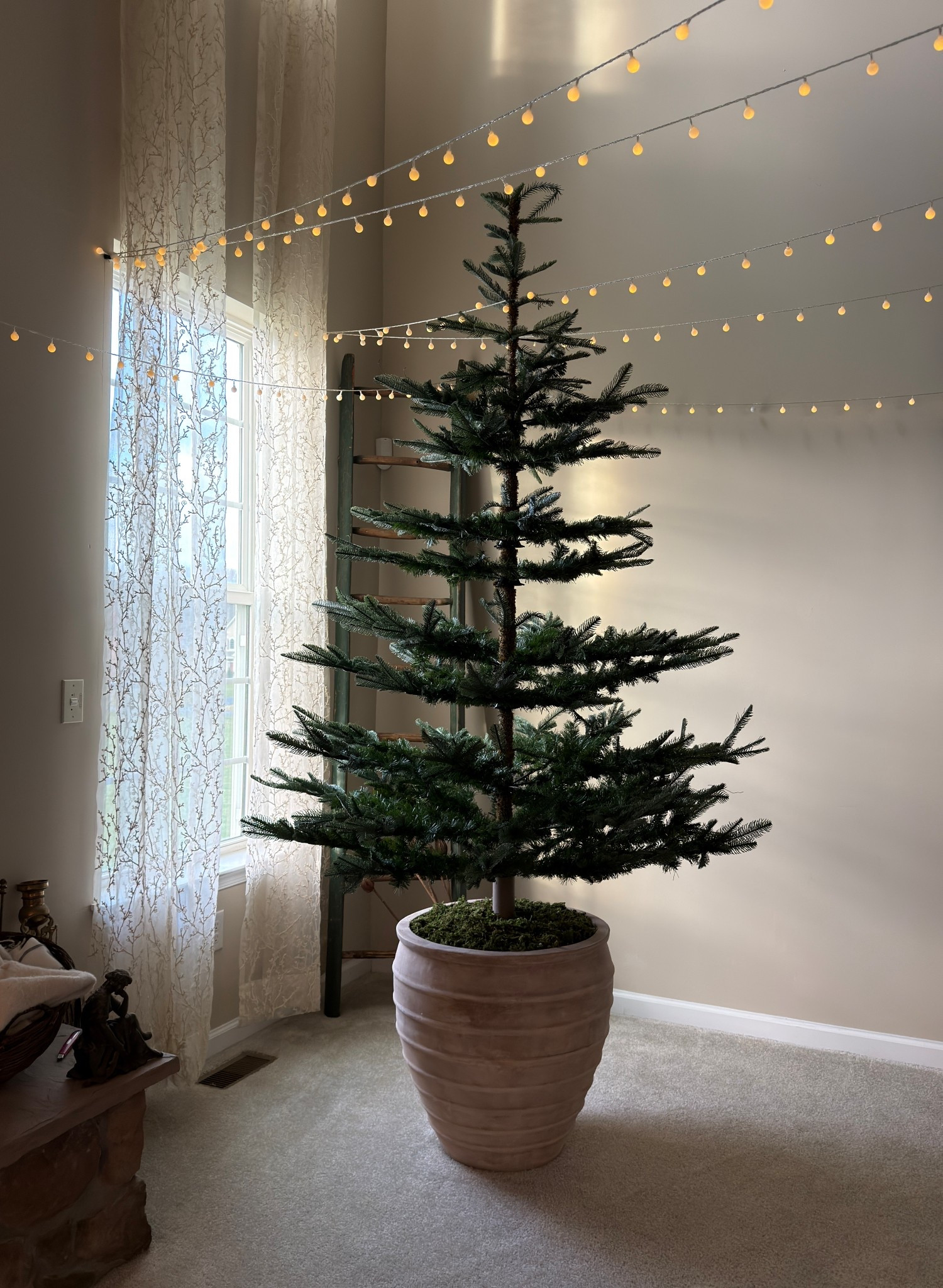 This tree instantly makes the house feel like Christmas 🎄✨

Looks like it came straight from a winter forest—full, natural, and effortlessly magical.

#LTKHome #LTKSeasonal #LTKHoliday