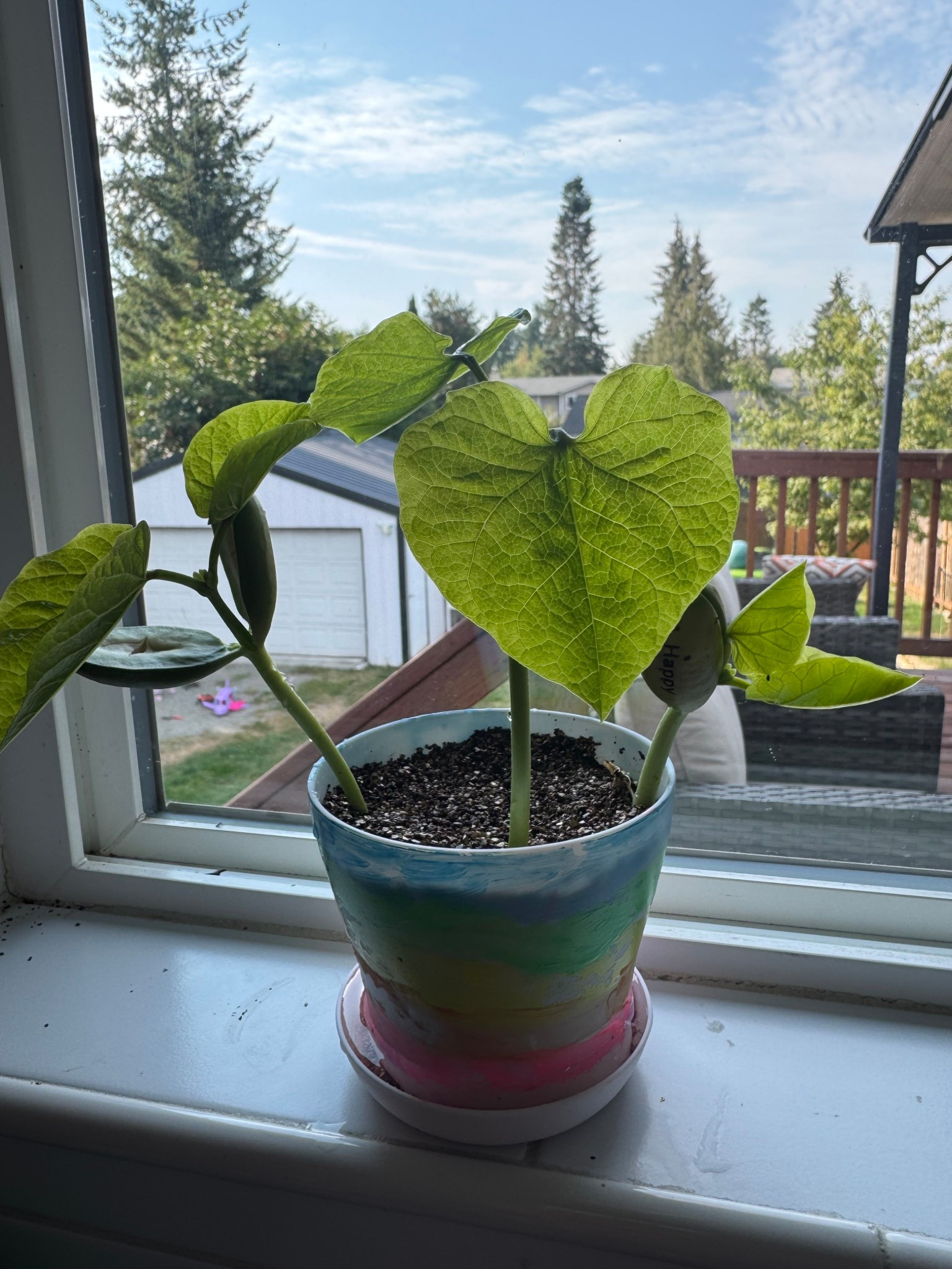 The cutest project for kids before school starts! 

#LTKFindsUnder50 #LTKHome #LTKKids