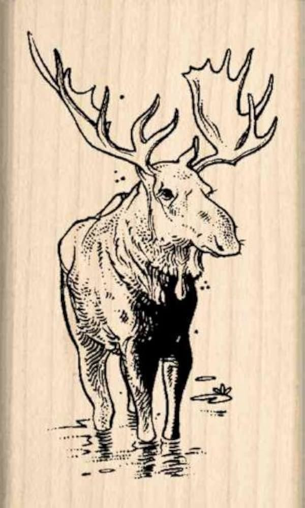 Stamps by Impression Moose Rubber Stamp | Amazon (US)