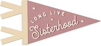 SJDFCSA Baby Girl Nursery Decor, Long Live Sisterhood Wall Hanging Pennant Flag Banner, Pink Prep... | Amazon (US)