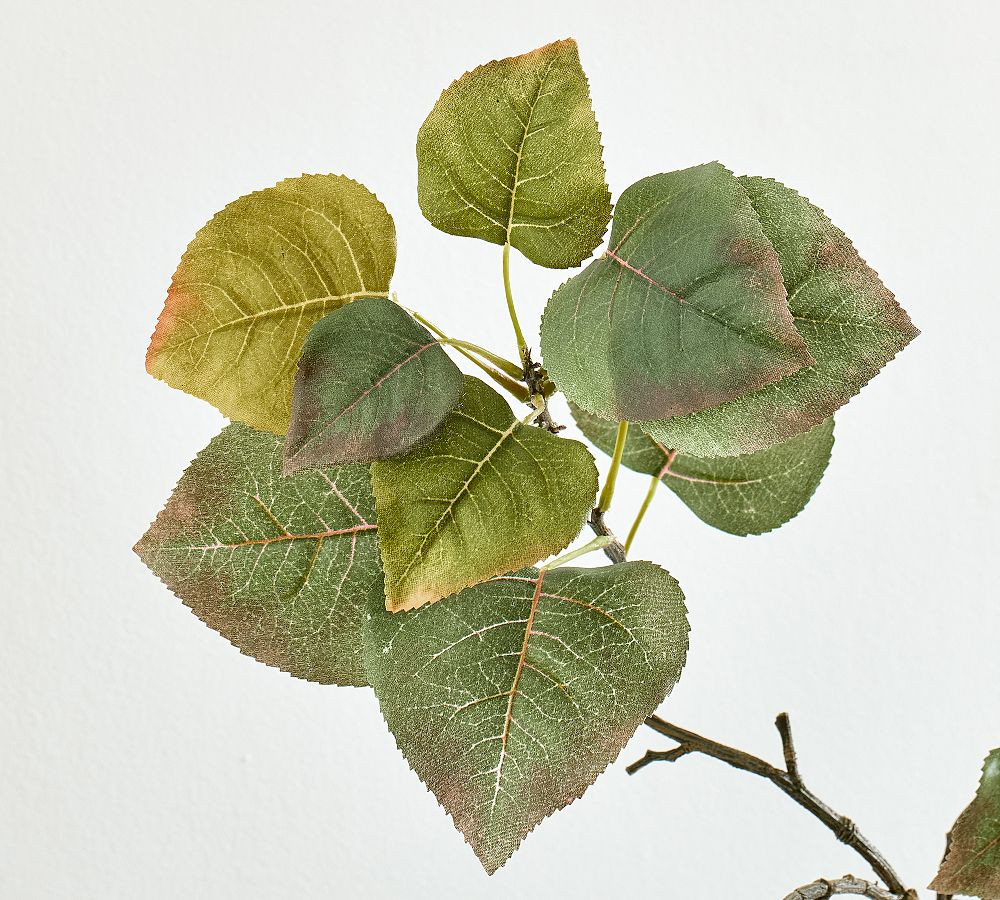 Faux Turning Aspen Branch | Pottery Barn (US)