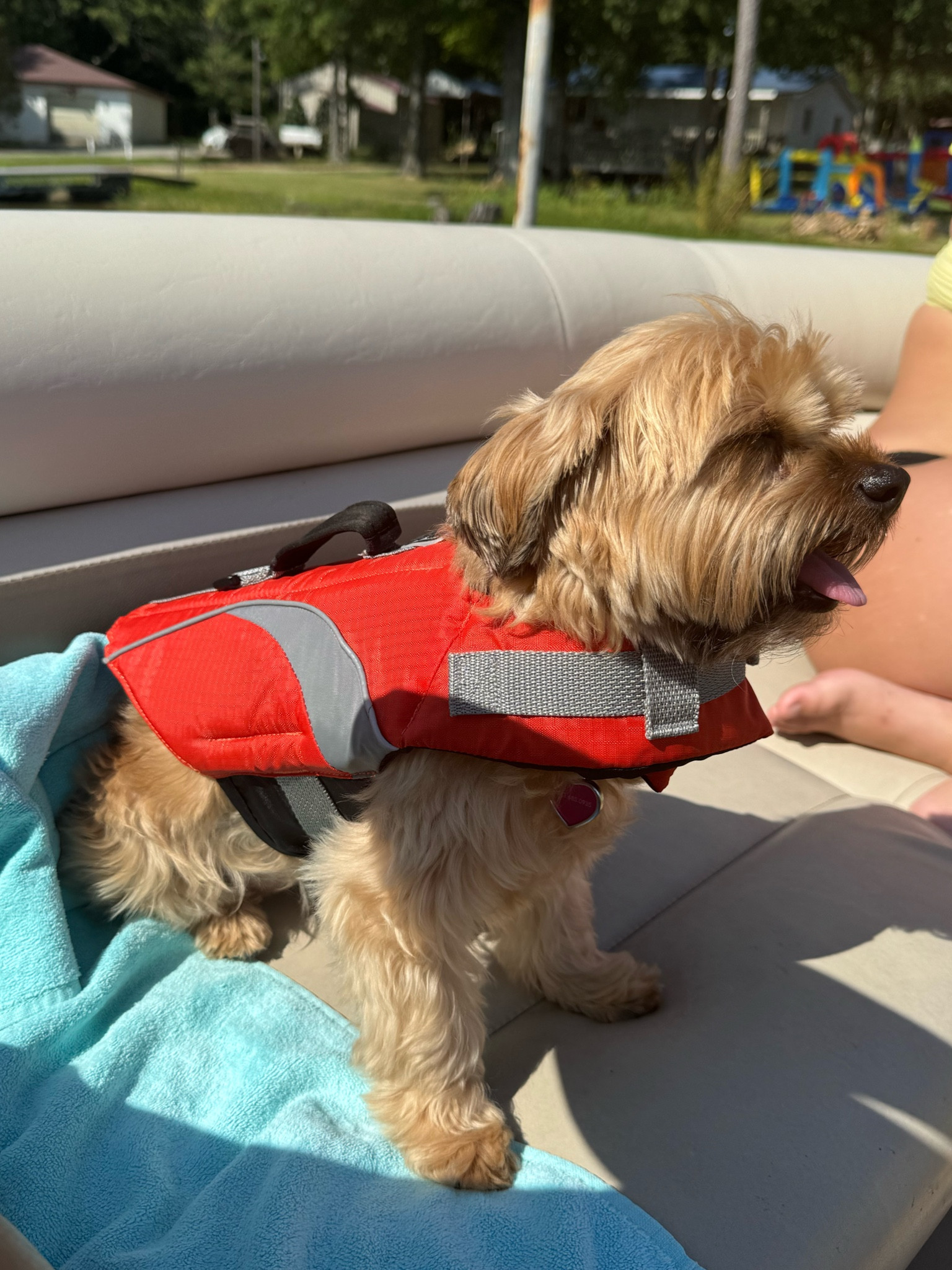 Boat days are the best days with our fur babies! 

#LTKFamily #LTKSwim #LTKFindsUnder50