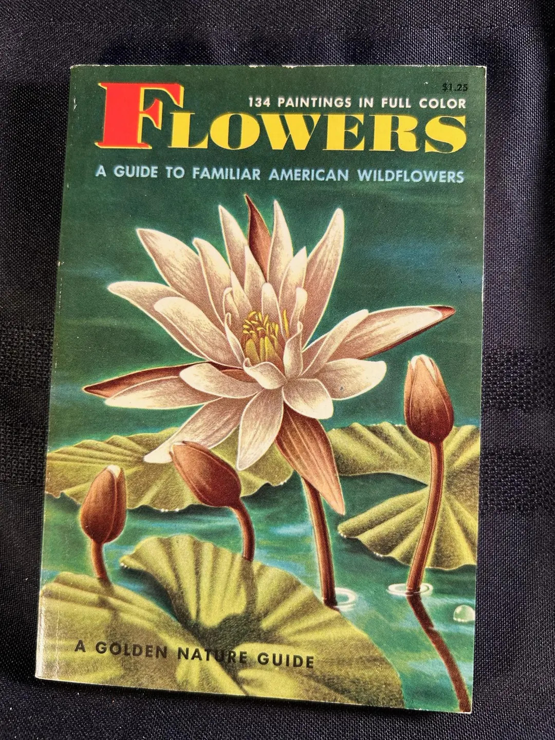 Price:
        $18.00 | Etsy (US)