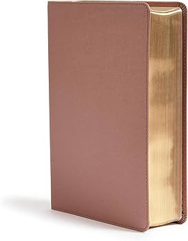 CSB She Reads Truth Bible, Rose Gold LeatherTouch, Black Letter, Full-Color Design, Wide Margins,... | Amazon (US)
