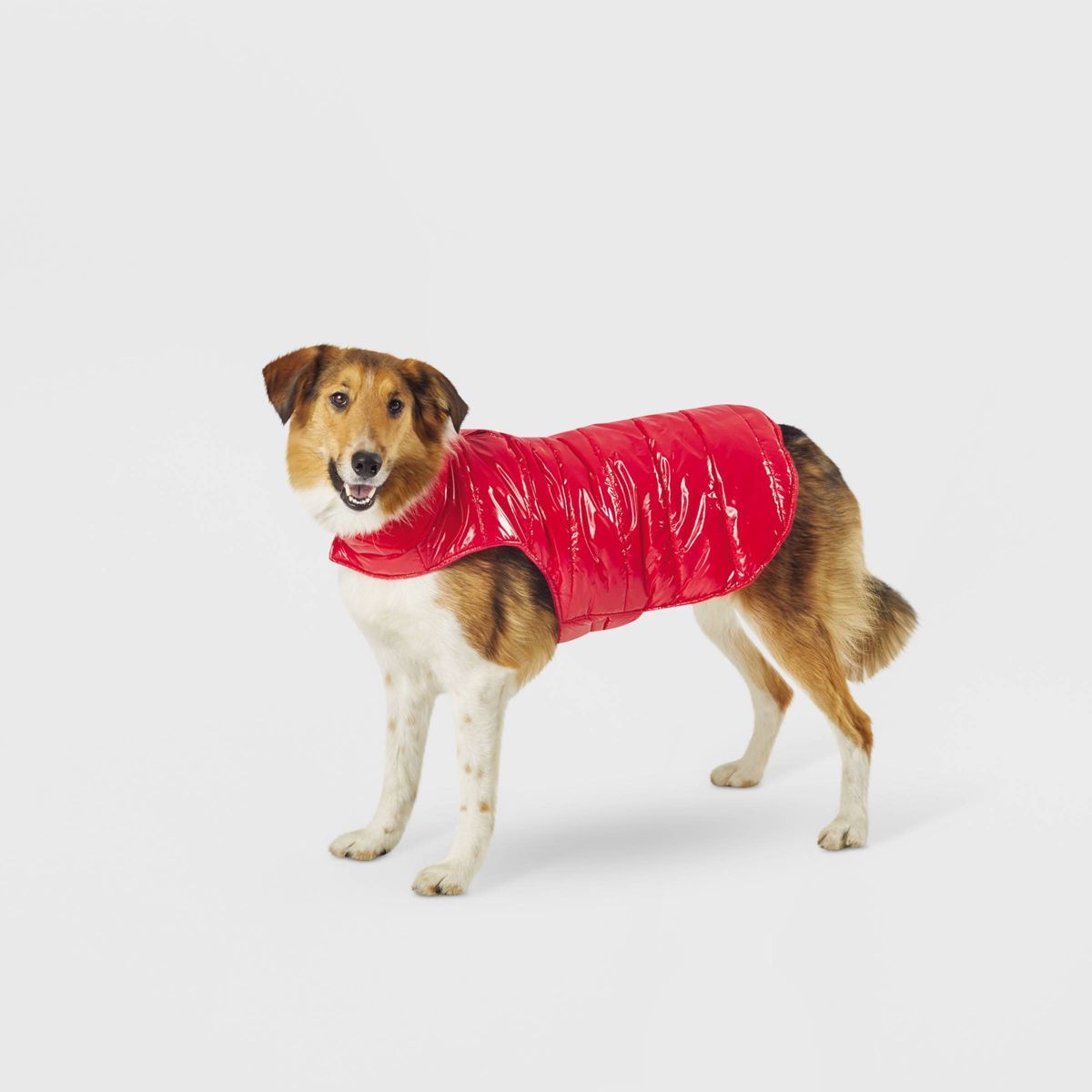 Dog and Cat Puffer - Red - Wondershop™ | Target