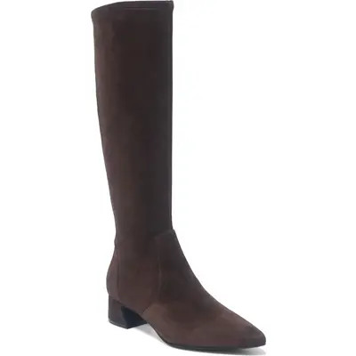 Gentle Souls Gallway Stretch Boot in Chocolate Suede at Nordstrom, Size 9 | Nordstrom