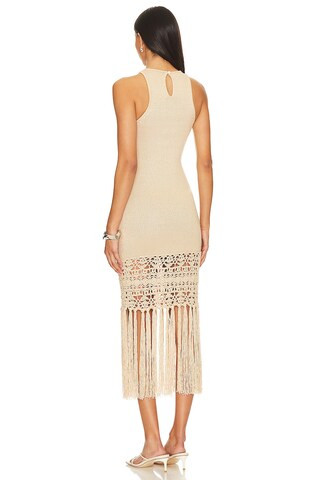 Lucaya Dress in Tan | Revolve Clothing (Global)