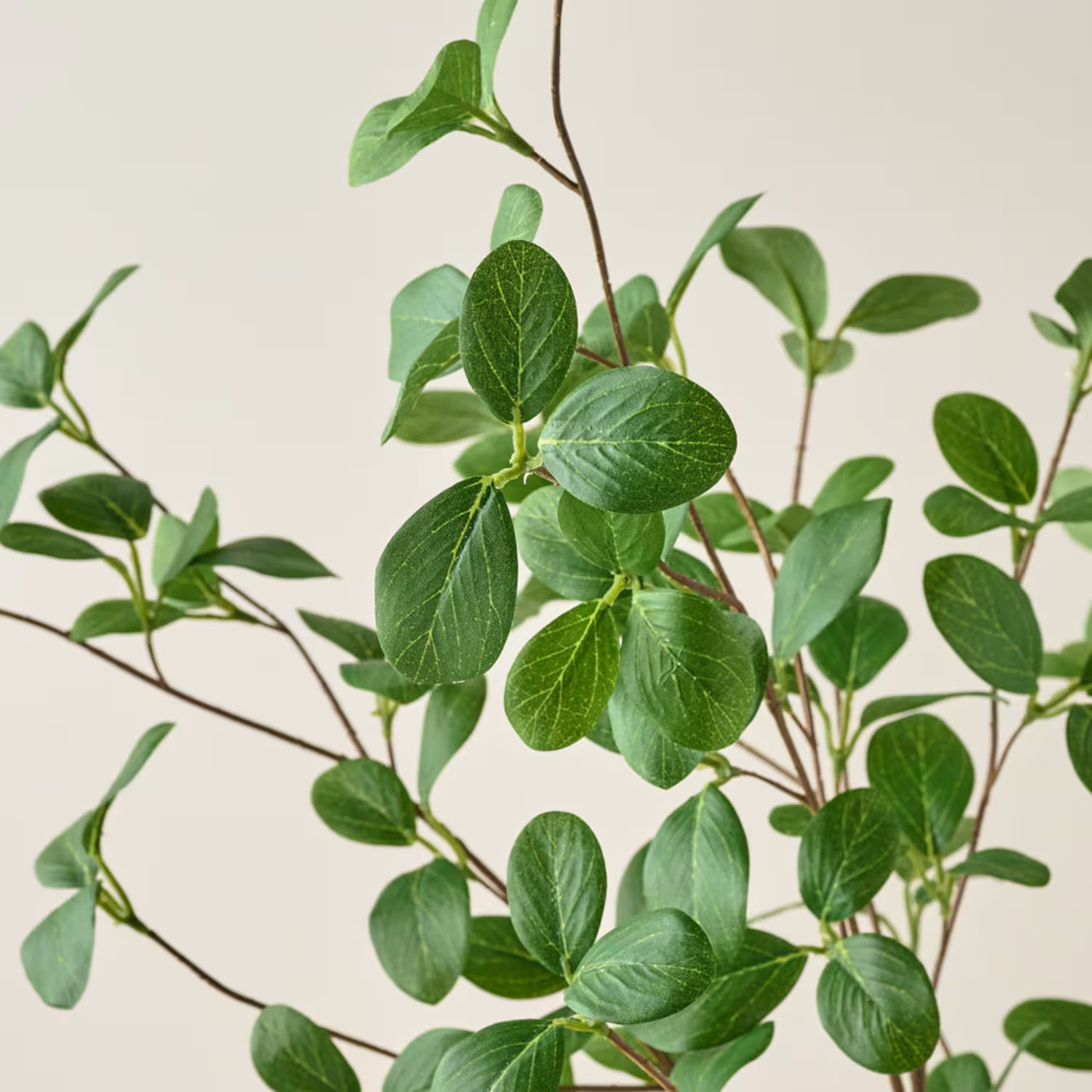 Oversized Dendrobium Leaf Branch | Magnolia