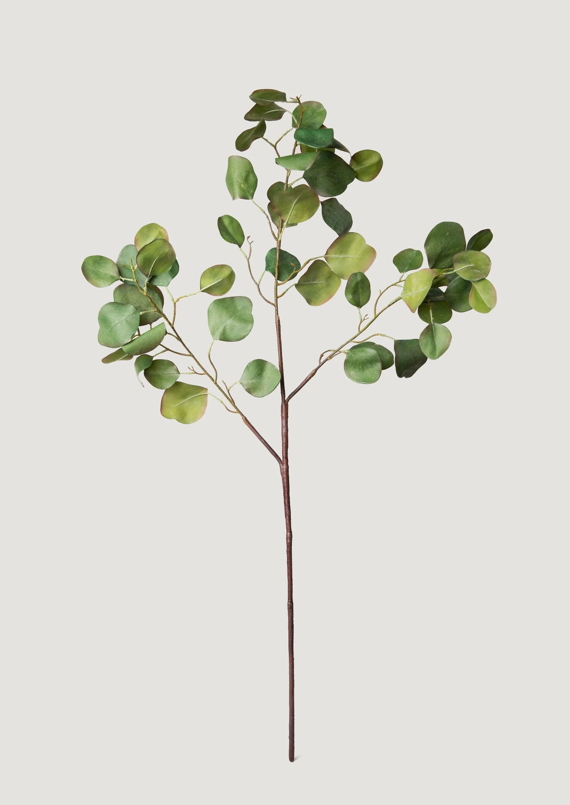 Silver Dollar Eucalyptus Branch | Lifelike Fake Green Stems | Afloral | Afloral