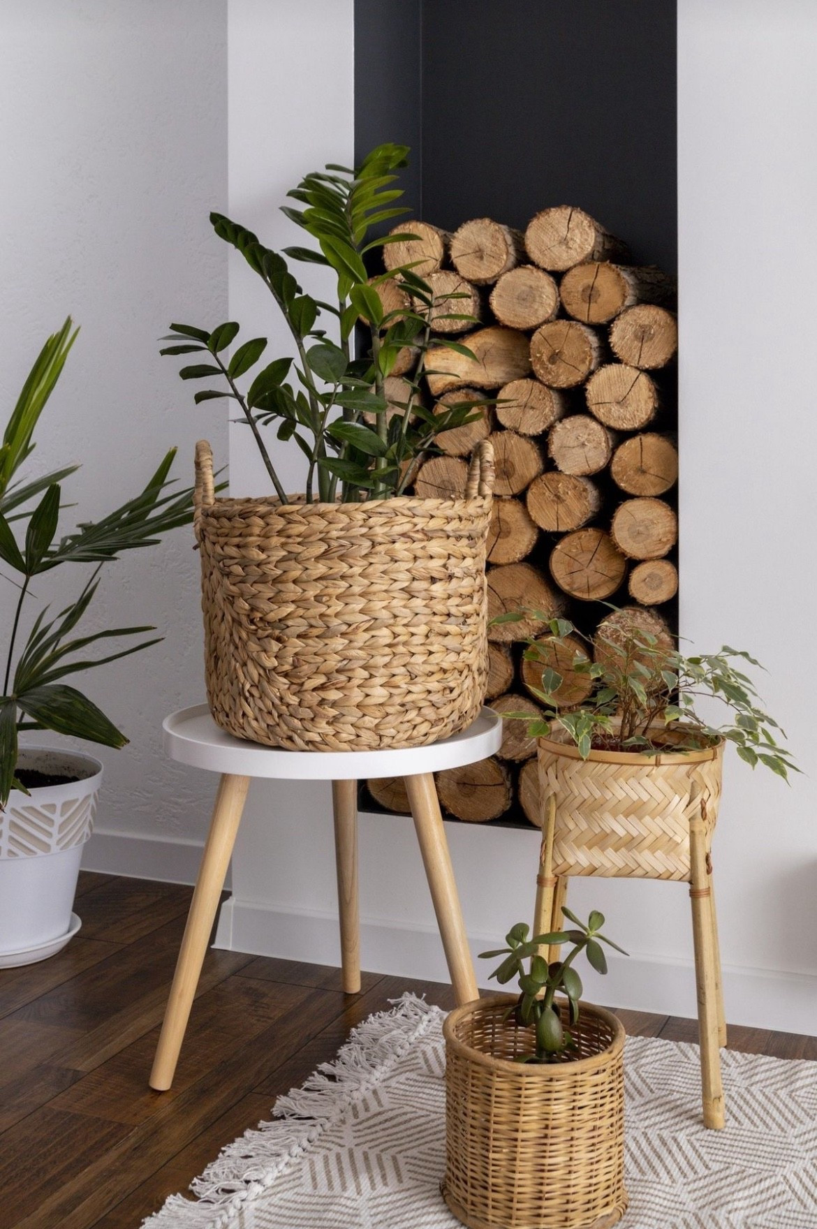 Cozy corner goals! 🌿✨ These woven plant stands and baskets instantly warm up any space and bring those natural textures we all love. Linked everything you need to recreate this look on my LTK page — don’t miss out! 🤍 #HomeVibes #PlantCorner #LTKhome #NaturalDecor #InteriorInspo
