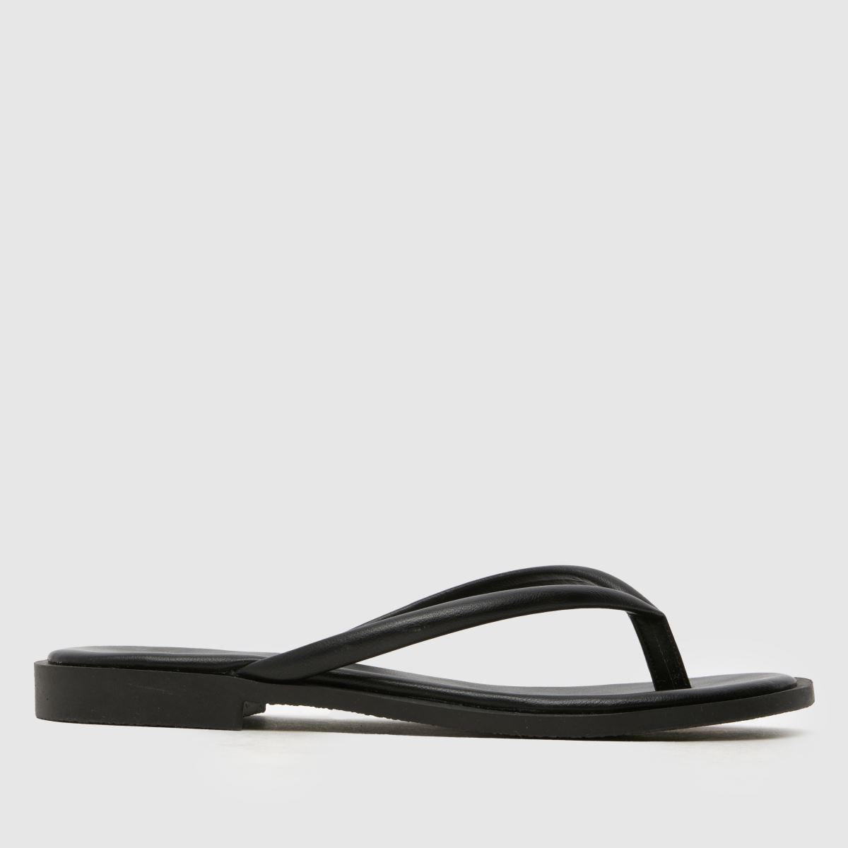 Womens Black schuh Tulia Toe Post Sandals | schuh | Schuh