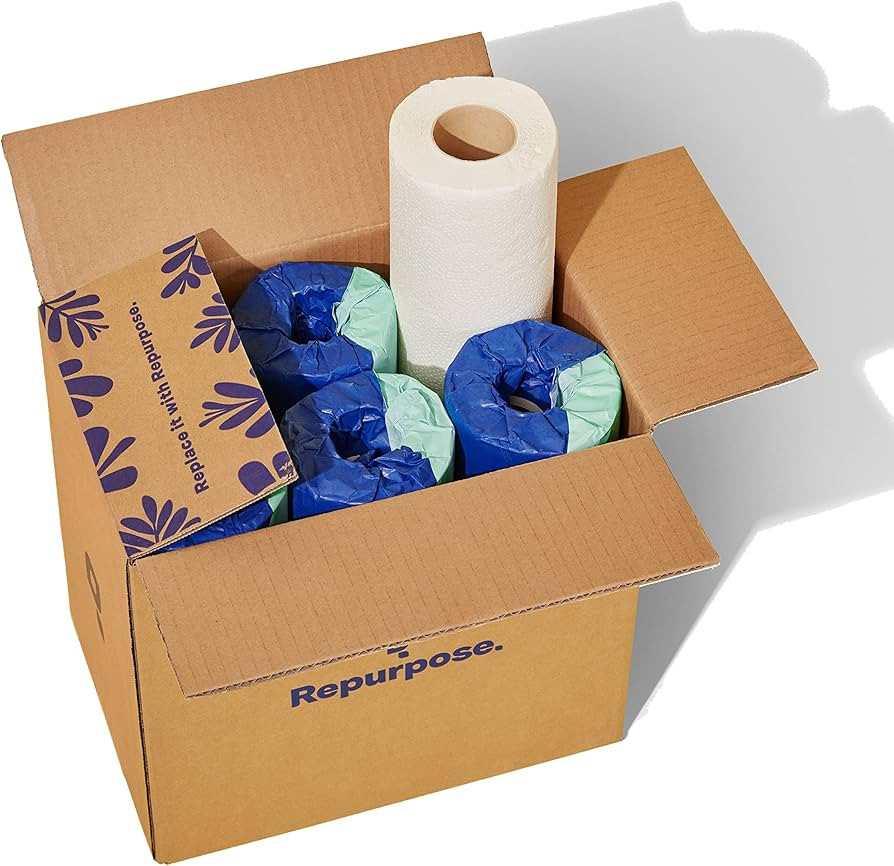 Repurpose 100% Bamboo Paper Towels, Tree Free Paper Towels, Plastic Free Packaging, 6 Rolls, 75 S... | Amazon (US)