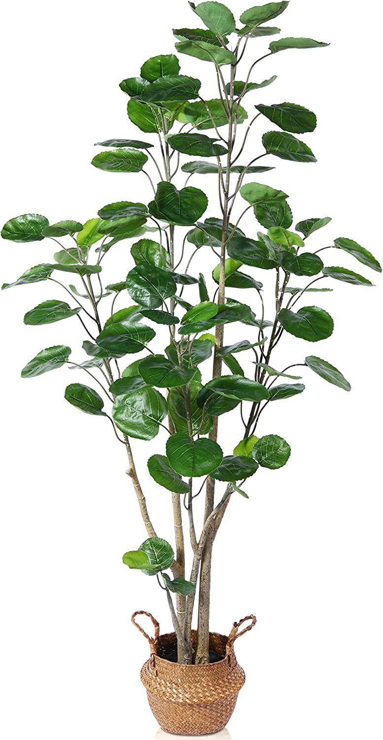 Kazeila Artificial Aralia Balfour Tree,Fake Greenery Plant,Come with Woven Seagrass Belly Basket,... | Amazon (US)