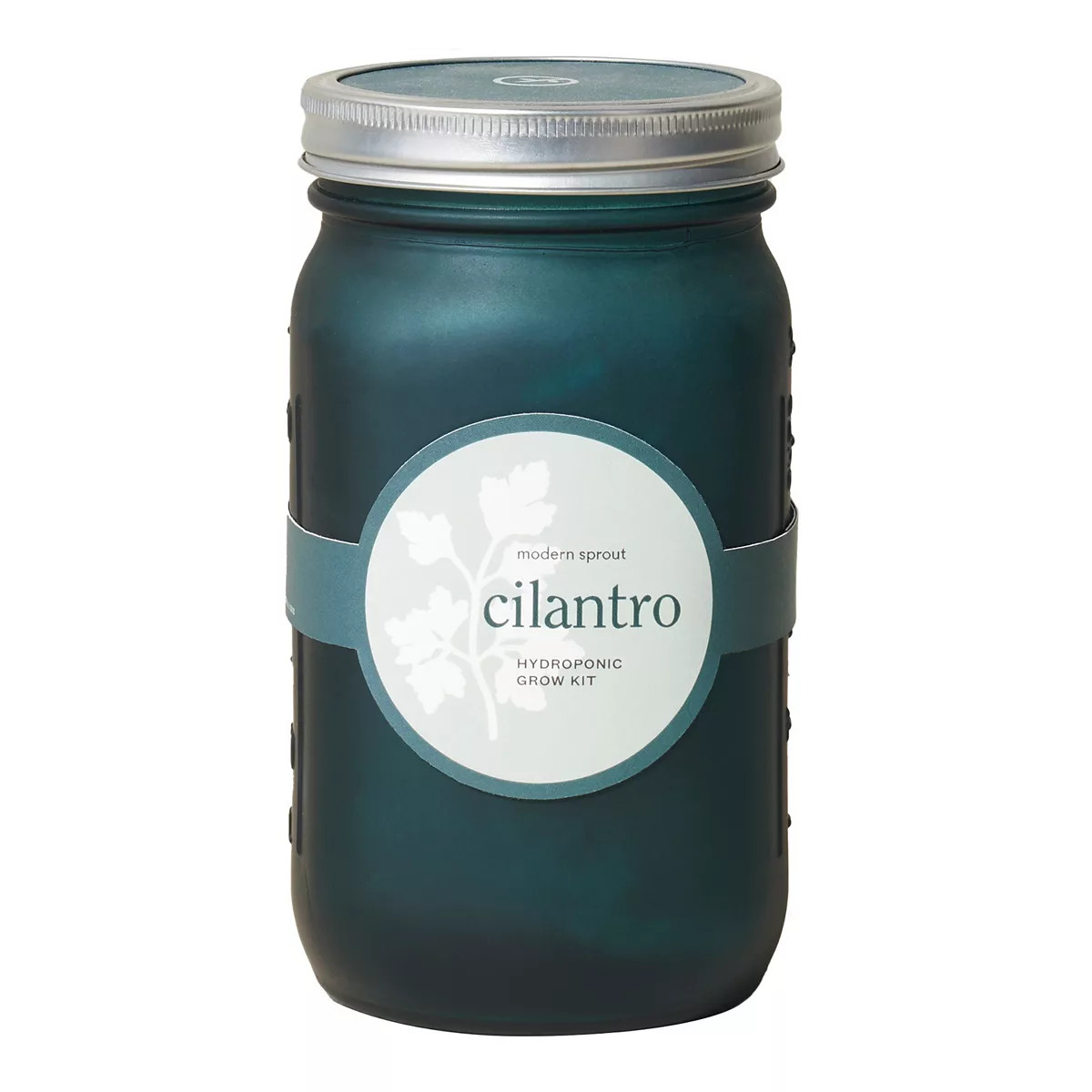 Modern Sprout Garden Jar - Cilantro | Kohl's