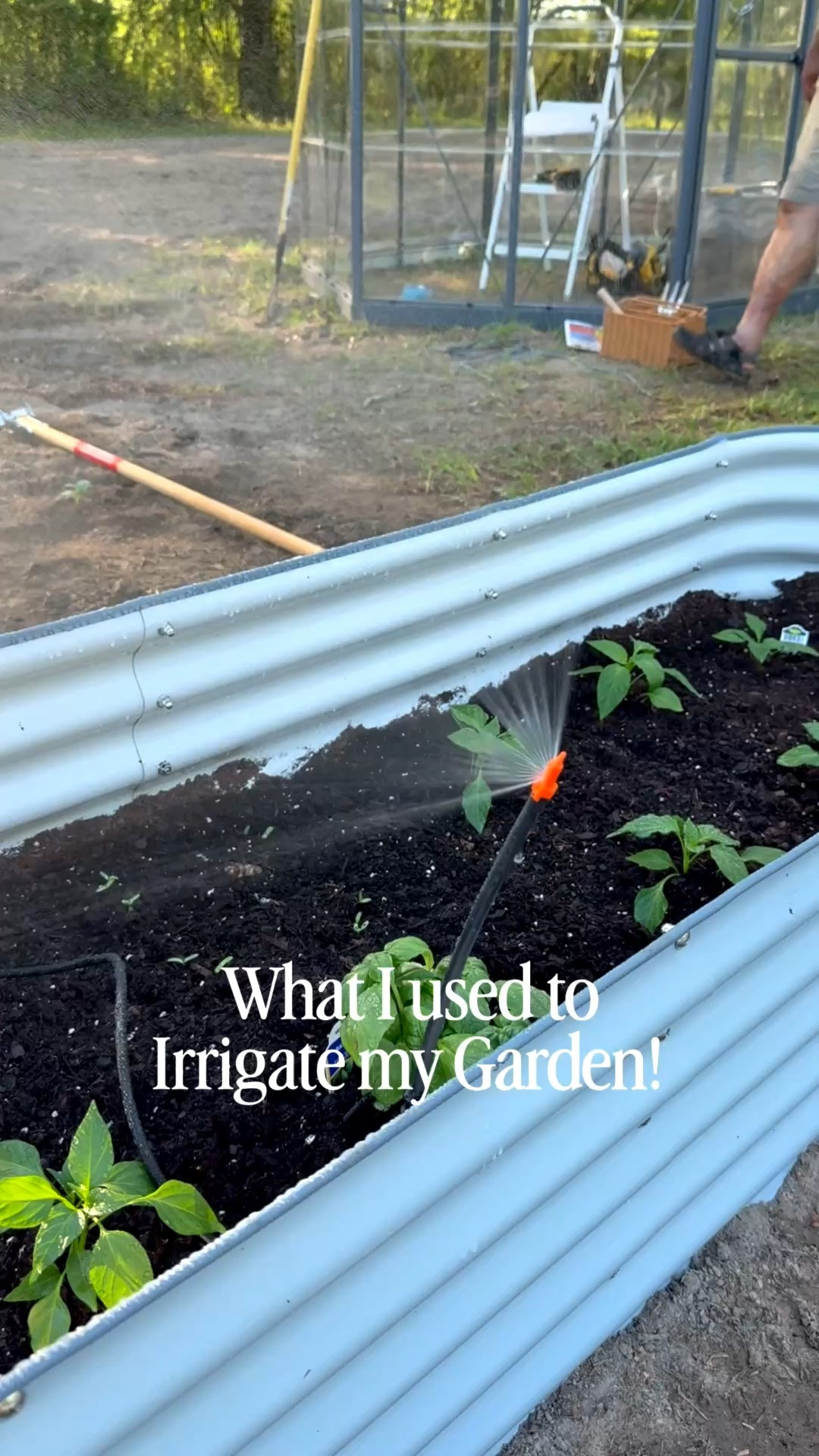 Everything I used to irrigate my garden!

#LTKdayinmylife #LTKSeasonal #LTKHome
