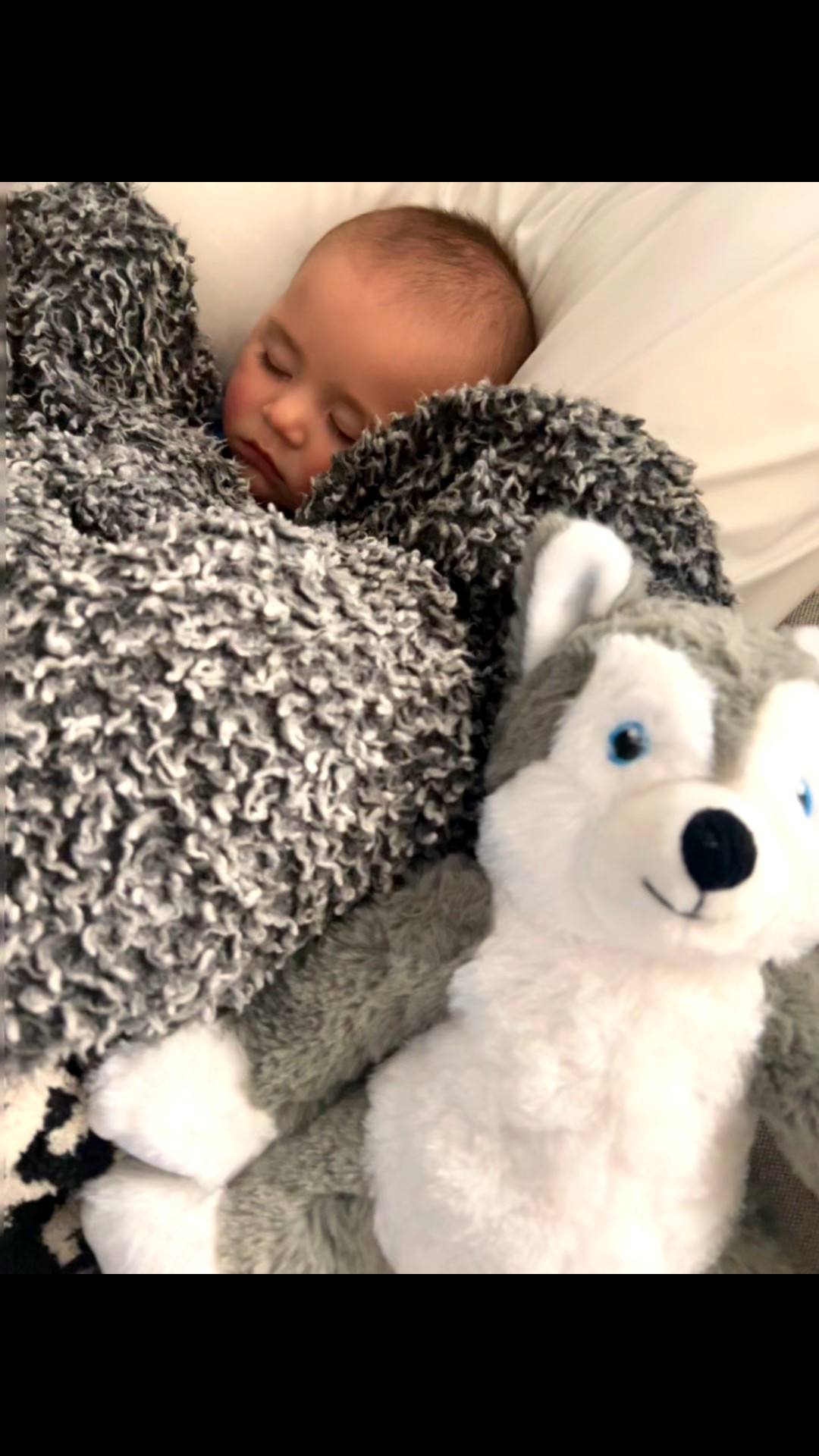 This Warming Pet Pals Husky is perfect for Sick kids  

#LTKBump #LTKKids #LTKBaby
