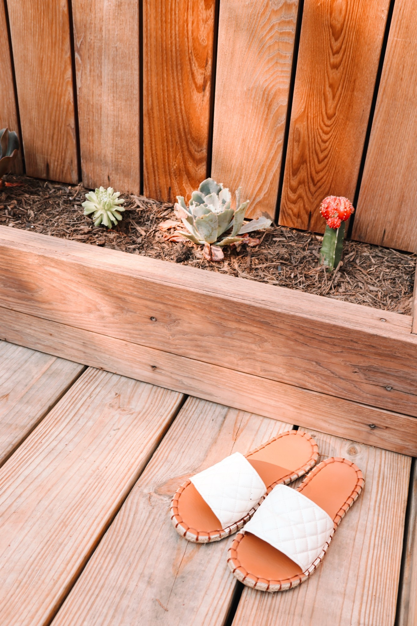 #LTKStyleTip #LTKSeasonal #LTKSwim