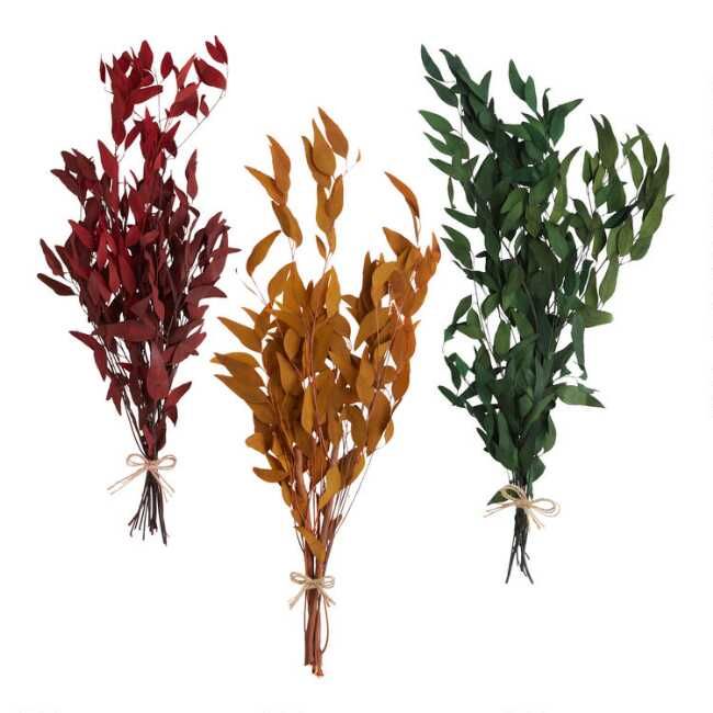 Dried Willow Eucalyptus Bunch | World Market