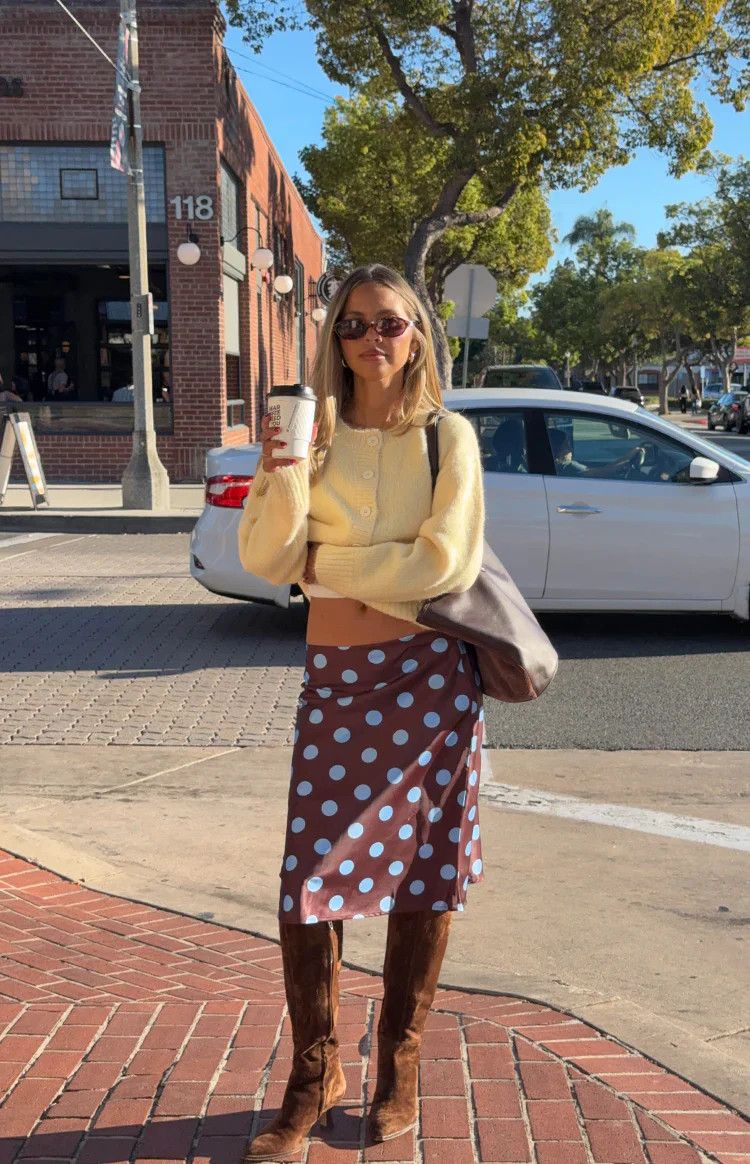 Charlize Brown and Blue Polka Dot Midi Skirt | Beginning Boutique (US)