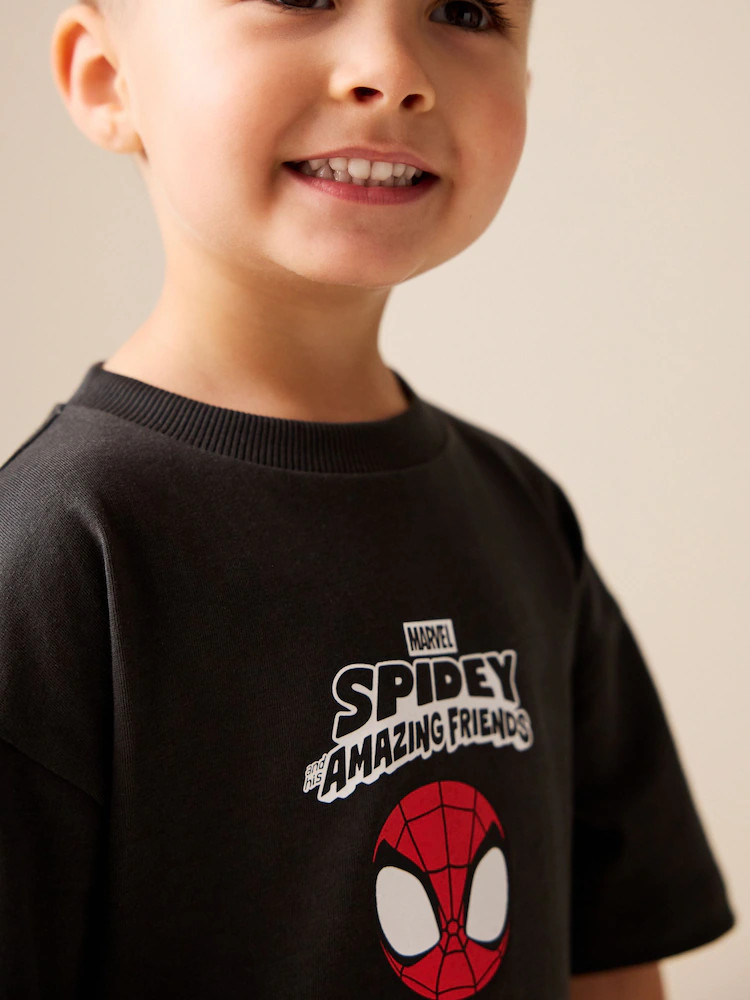 Charcoal Grey Spidey Marvel Short Sleeve Cotton T-Shirt (9mths-8yrs) | Next US