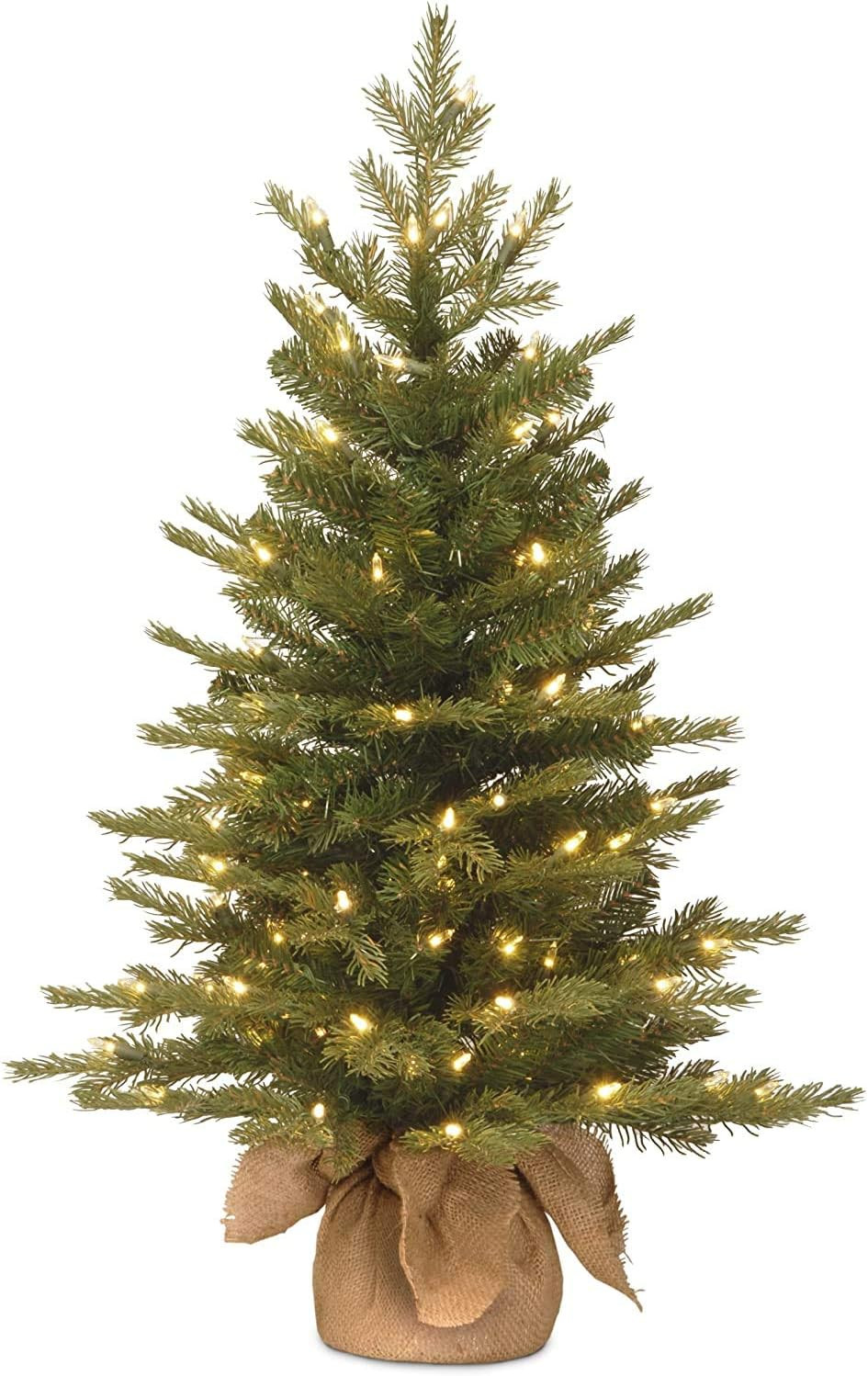 National Tree Company Pre-Lit 'Feel Real' Artificial Mini Christmas Tree, Green, Nordic Spruce, W... | Amazon (US)