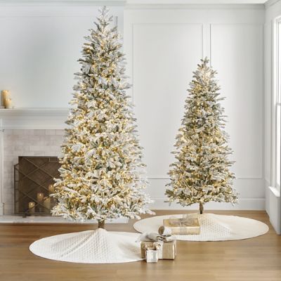 Snowdrift Noble Fir Tree | Frontgate