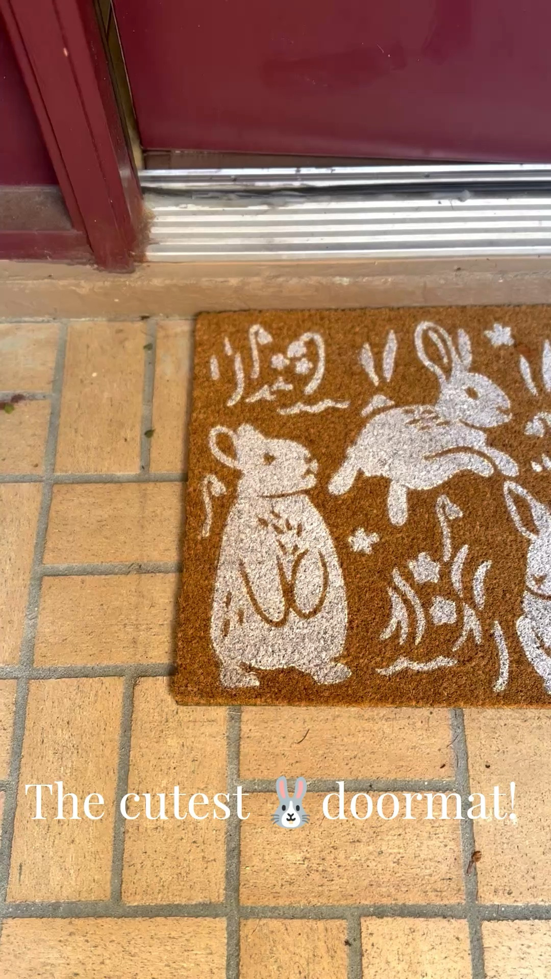 I found the cutest 🐰doormat at @Target for $15! Hurry to grab it while you can! 

#LTKHome #LTKSpringSale #LTKSeasonal