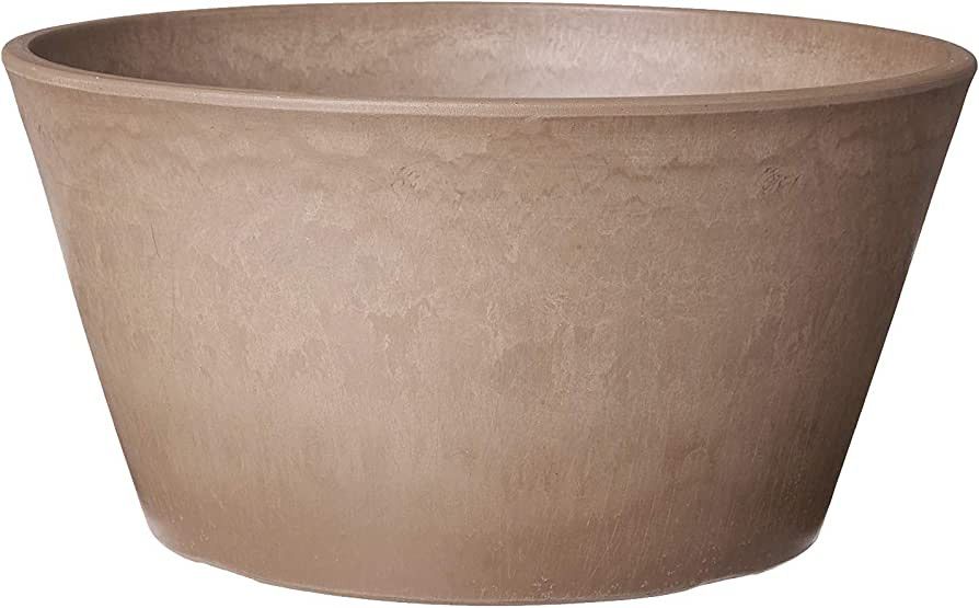 Arcadia Garden Products PSW Pot Collection Shallow Bulb Pan Planter for Succulents, Bonsai, Fairy... | Amazon (US)