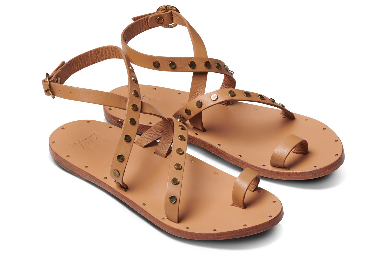 LORIKEET - Honey | beek