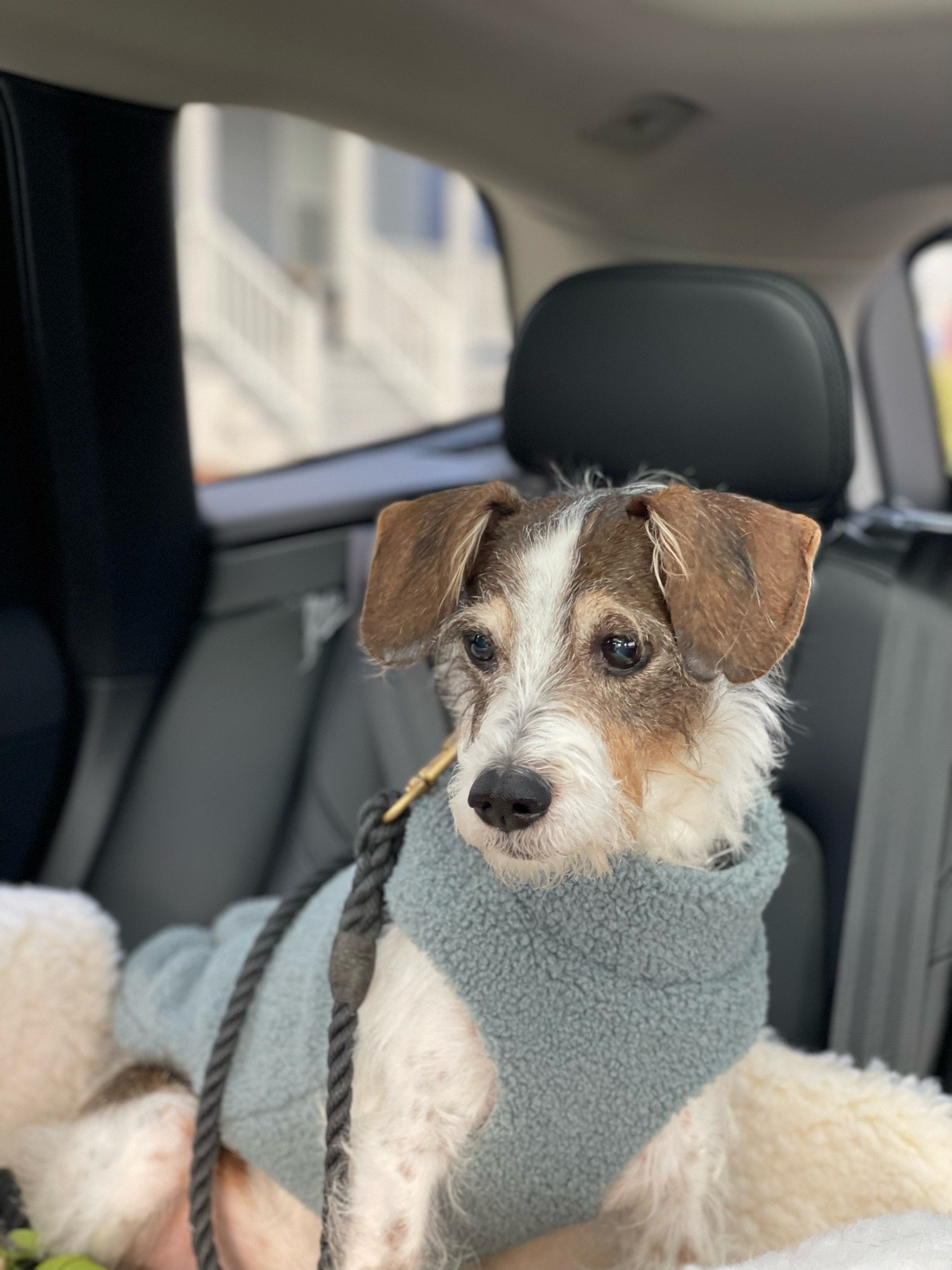 sherpa weather.

#LTKfindsunder50 #LTKfamily