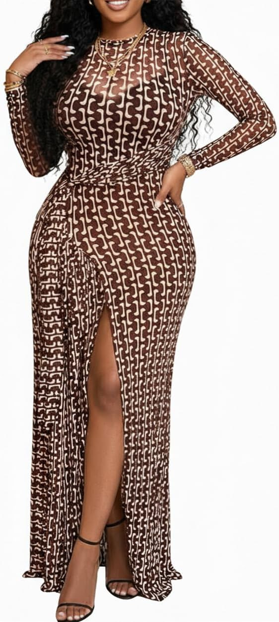 CHICME Long Sleeve Maxi Dress for Women 2026 Wedding Guest Dress Sheer Mesh Floral Print Tie Wais... | Amazon (US)