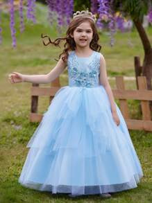 Girls Mesh Overlay Puffy Tulle Party Dress For Wedding, Birthday Party, Show And Performance | SHEIN