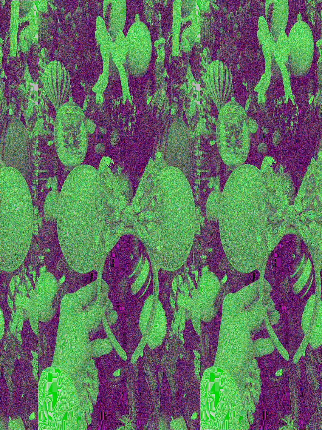 I finally broke down and bought these Baublebar ears and YOU GUYS the sparkle on these are unreal!! The camera does not do these justice. I cannot believe how beautiful these are in person! GET THEM NOW! 

 #LTKTravel