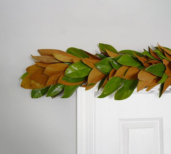 Fresh Magnolia Garlands | Pottery Barn (US)