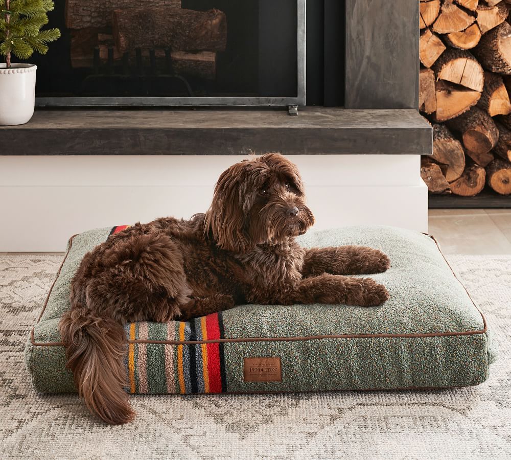 Pendleton® Camp Pet Bed | Pottery Barn (US)